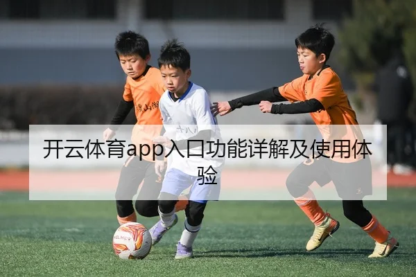 开云体育app入口功能详解及使用体验